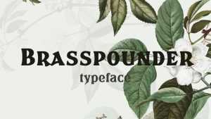 Brasspounder Font › Fontesk