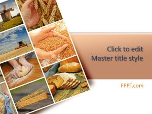 Bread Presentation Template
