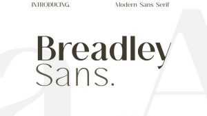 Breadley Sans Font › Fontesk