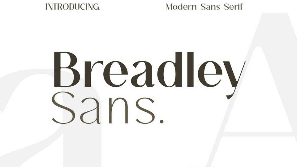 Breadley Sans Font › Fontesk