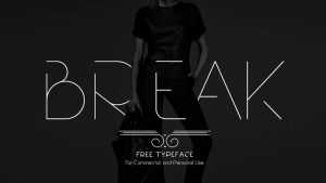 Break Typeface › Fontesk