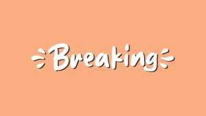 Breaking Font › Fontesk