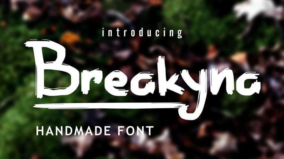 Breakyna Font › Fontesk