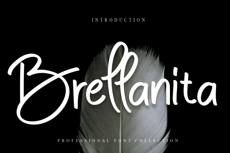 Brellanita Script Font