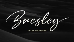 Bresley Script Font › Fontesk