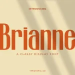 Brianne A Classy Display Font