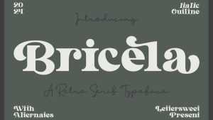 Bricela Font › Fontesk