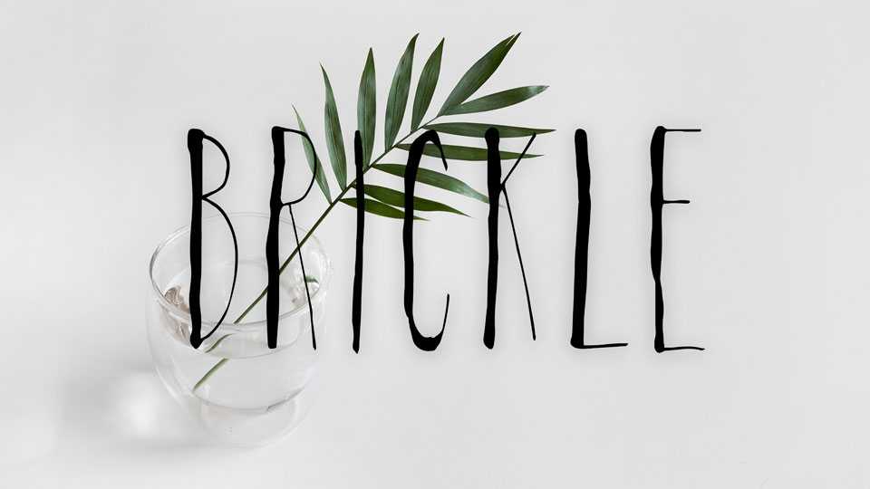 Brickle Typeface › Fontesk