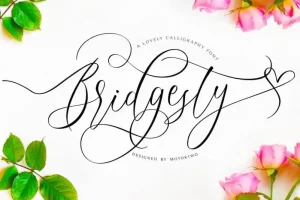 Bridgesty Script Font