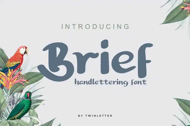 Brief Script Font