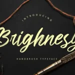 Brighnesy Brush Font