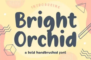 Bright Orchid Bold Handbrushed Font