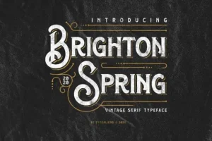 Brighton Spring Display Font