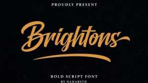 Brightons Script Font › Fontesk
