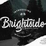 Brightside Script Font