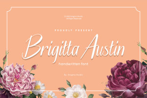 Brigitta Austin Font