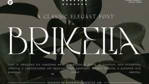 Brikelia Font › Fontesk