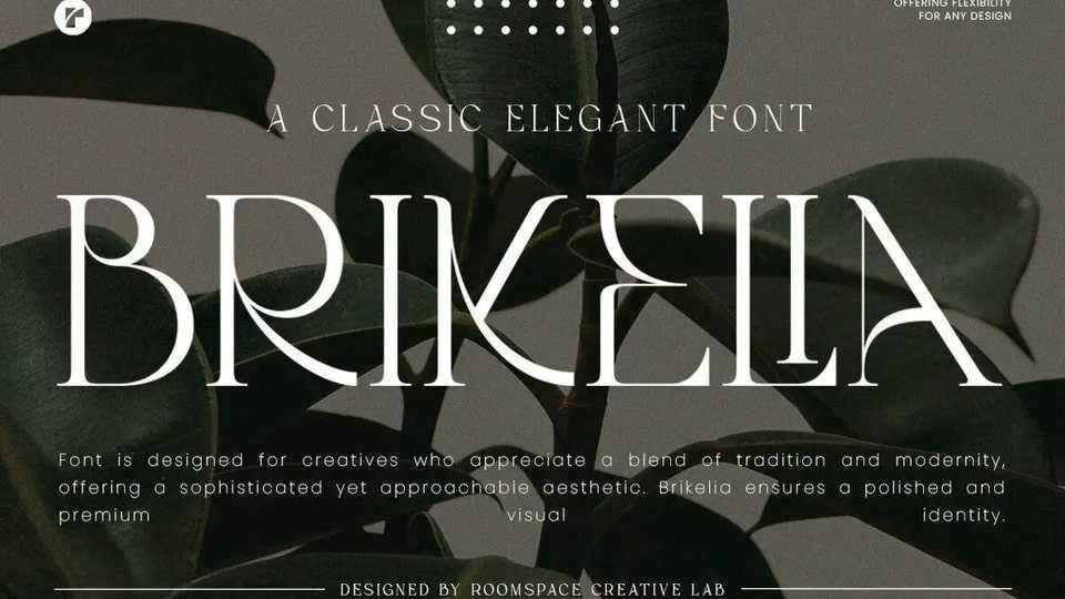 Brikelia Font › Fontesk