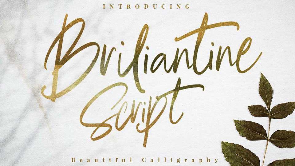 Briliantine Script › Fontesk