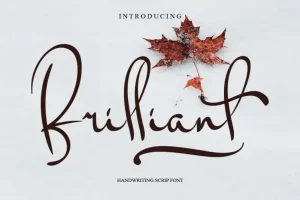 Brilliant Script Font