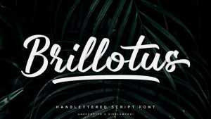 Brillotus Font › Fontesk