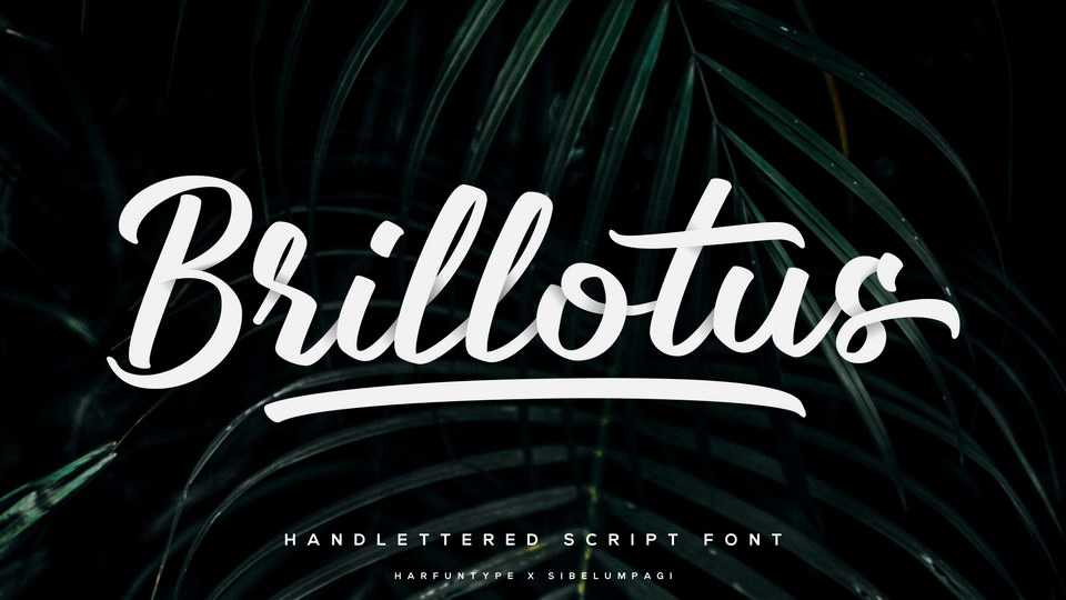 Brillotus Font › Fontesk