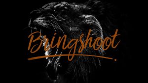 Bringshoot Script Font › Fontesk