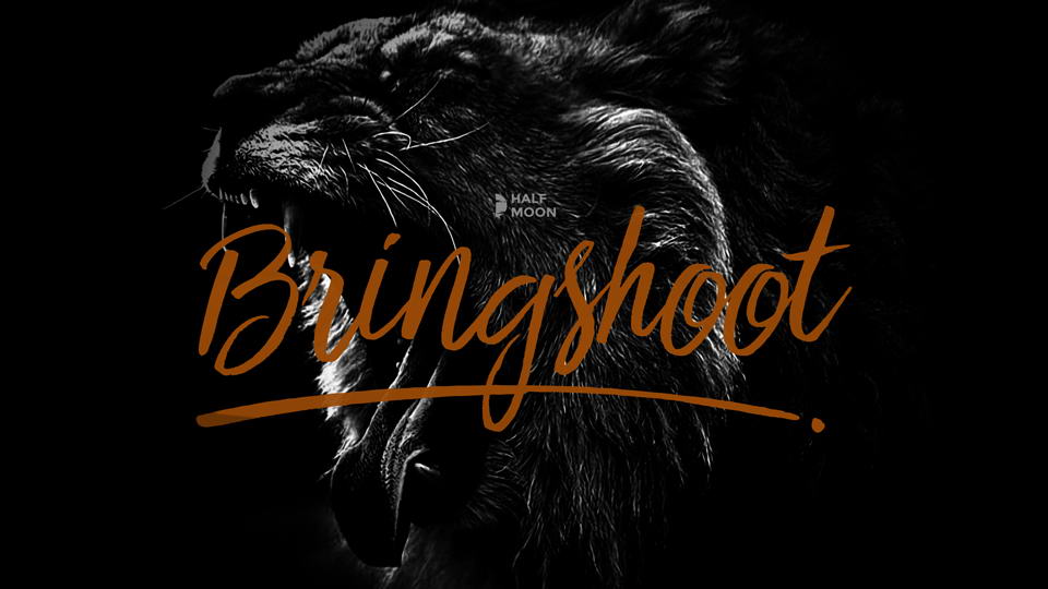 Bringshoot Script Font › Fontesk