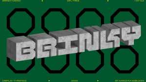 Brinky Mono Font › Fontesk