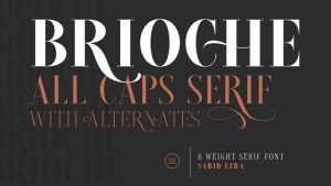 Brioche Font › Fontesk