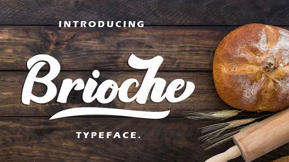Brioche Script Font › Fontesk