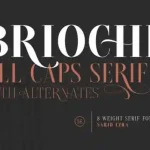 Brioche Serif Font - Fonte Grátis Brioche Serif Font