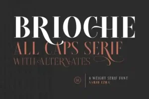 Brioche Serif Font