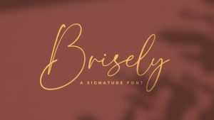 Brisley Font › Fontesk
