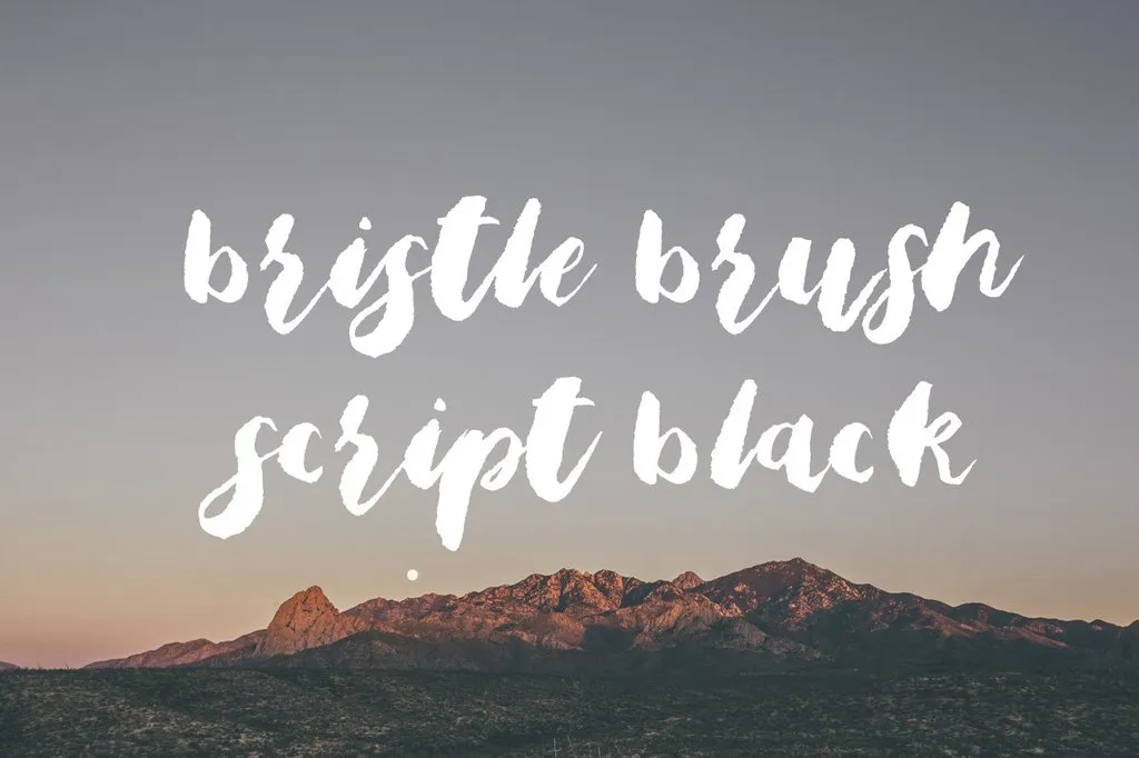 Bristle Brush Script Black Font