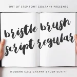 Bristle Brush Script Font