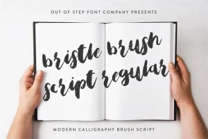 Bristle Brush Script Font