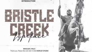 Bristle Creek Font › Fontesk