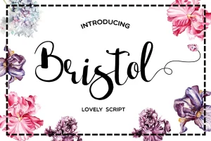 Bristol Script Font