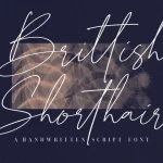 British Shorthair Script Font