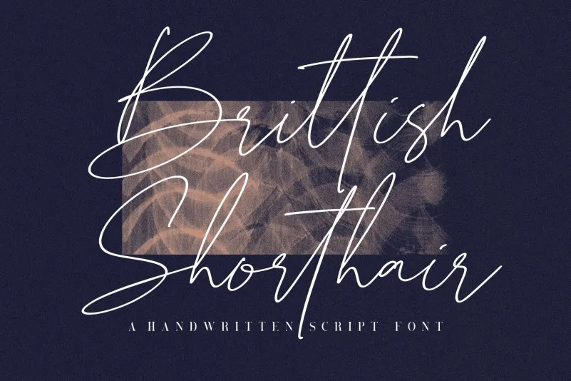 British Shorthair Script Font