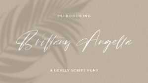Brittany Angella Font › Fontesk