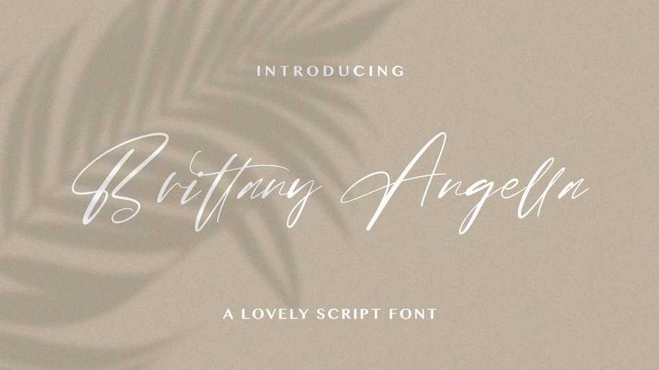 Brittany Angella Font › Fontesk
