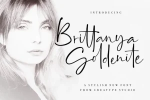 Brittanya Goldenite Script Font