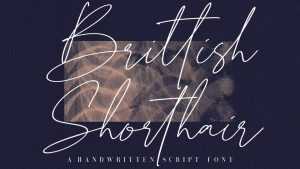 Brittish Shorthair Script Font › Fontesk