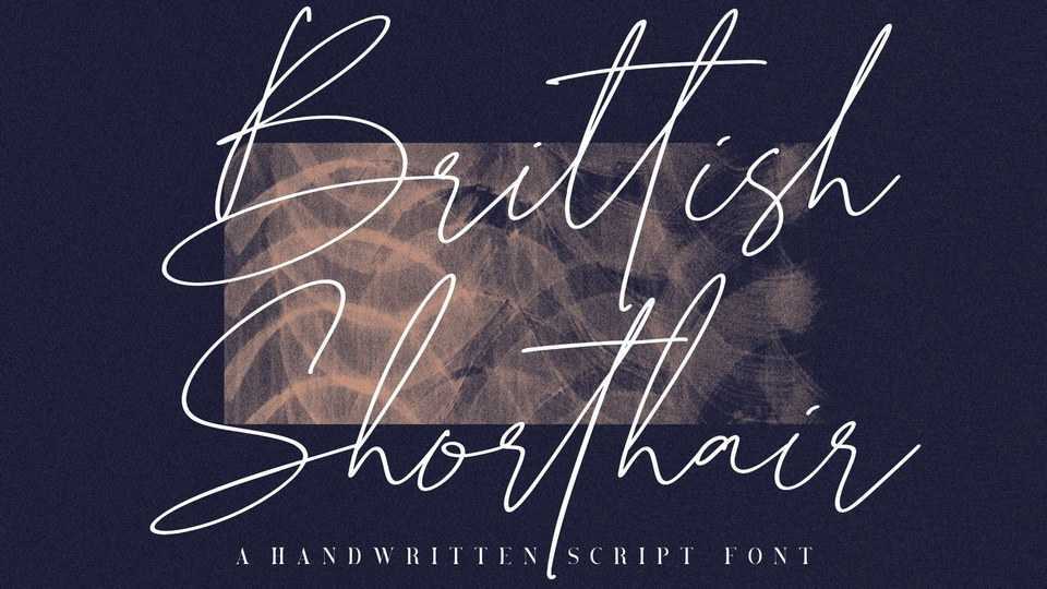 Brittish Shorthair Script Font › Fontesk