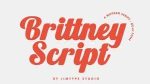 Brittney Script Font › Fontesk