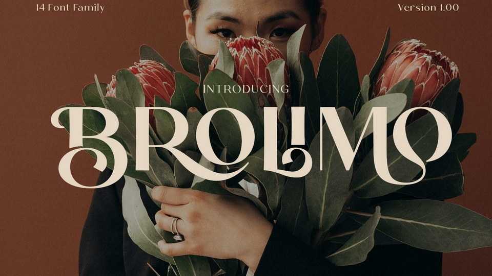 Brolimo Font › Fontesk