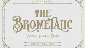 Brometalic Font › Fontesk