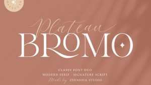Bromo Plateau Font Duo › Fontesk